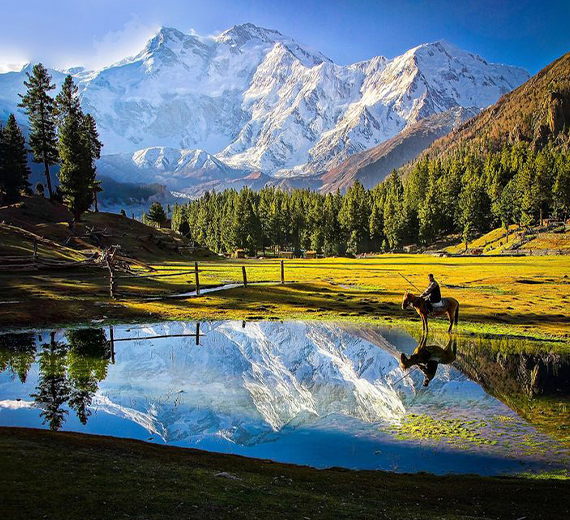 Fairy Meadows, Nanga Parbat & Naltar Valley - Families Only