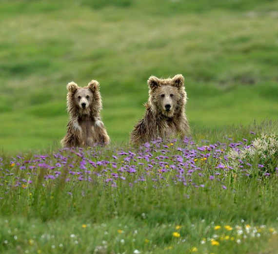 Skardu, Deosai Plains & Manthoka Waterfall - Sisters Only