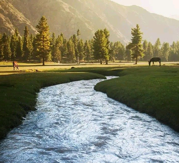 Minimarg, Astore Valley, Rainbow Lake & Deosai Plains - Sisters Only