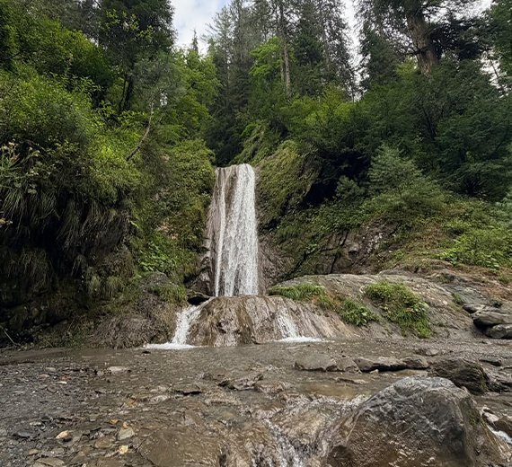 Sisters' Retreat (Sharan Forest)