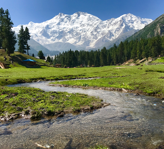 Fairy Meadows & Nanga Parbat View Point - Brothers Only